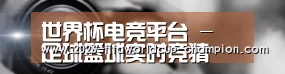 公司动态